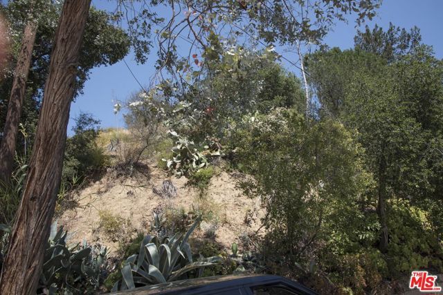 1033 Hollybush, Los Angeles, CA 90077