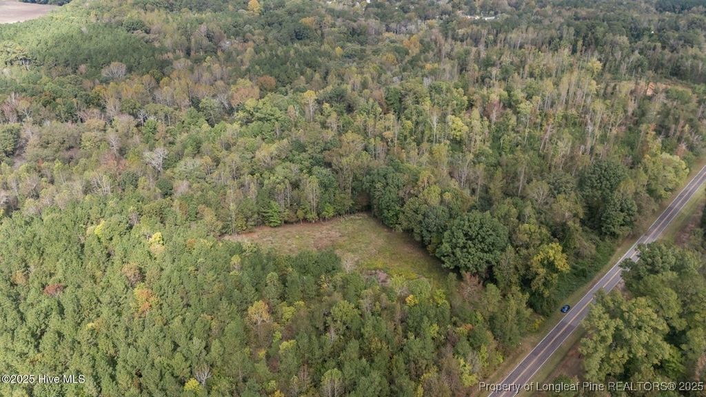 1435 Pineywood Church Road, Cameron, NC 28326 — photo 4