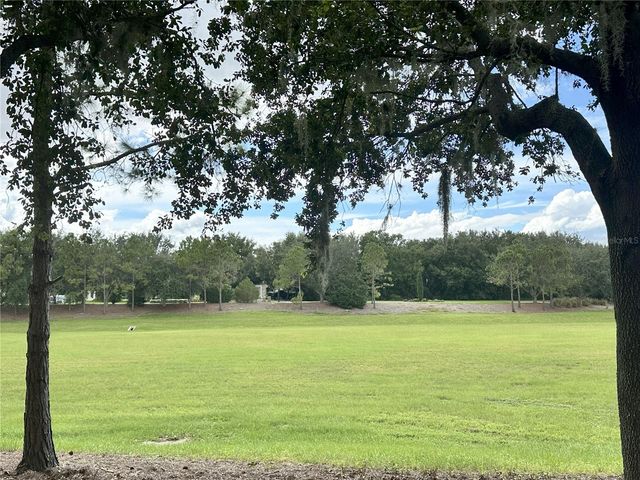 17127 ETRUSCAN LANE, Montverde, FL 34756