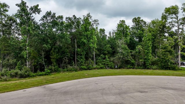 7178 Morningbrook Drive, Montgomery, TX 77316