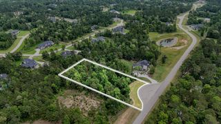 7178 Morningbrook Drive, Montgomery, TX 77316