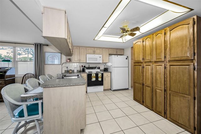 16032 TREE LINE DRIVE, Hudson, FL 34667