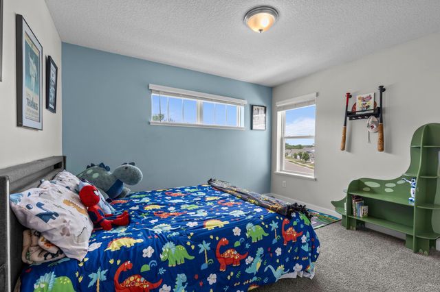 14162 Dallas Lane N, Dayton, MN 55327
