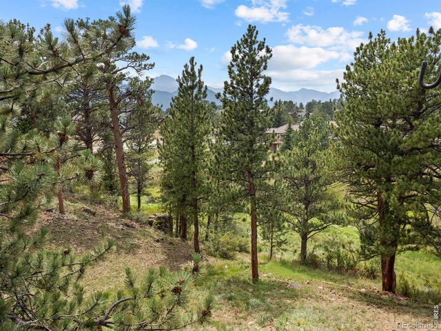 271 Steamer Court, Estes Park, CO 80517
