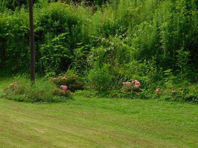 15718 HWY 522, Cumberland, KY 40823