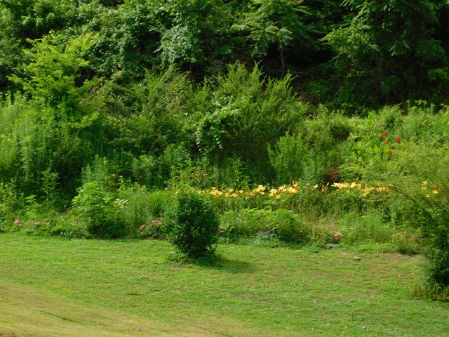 15718 HWY 522, Cumberland, KY 40823