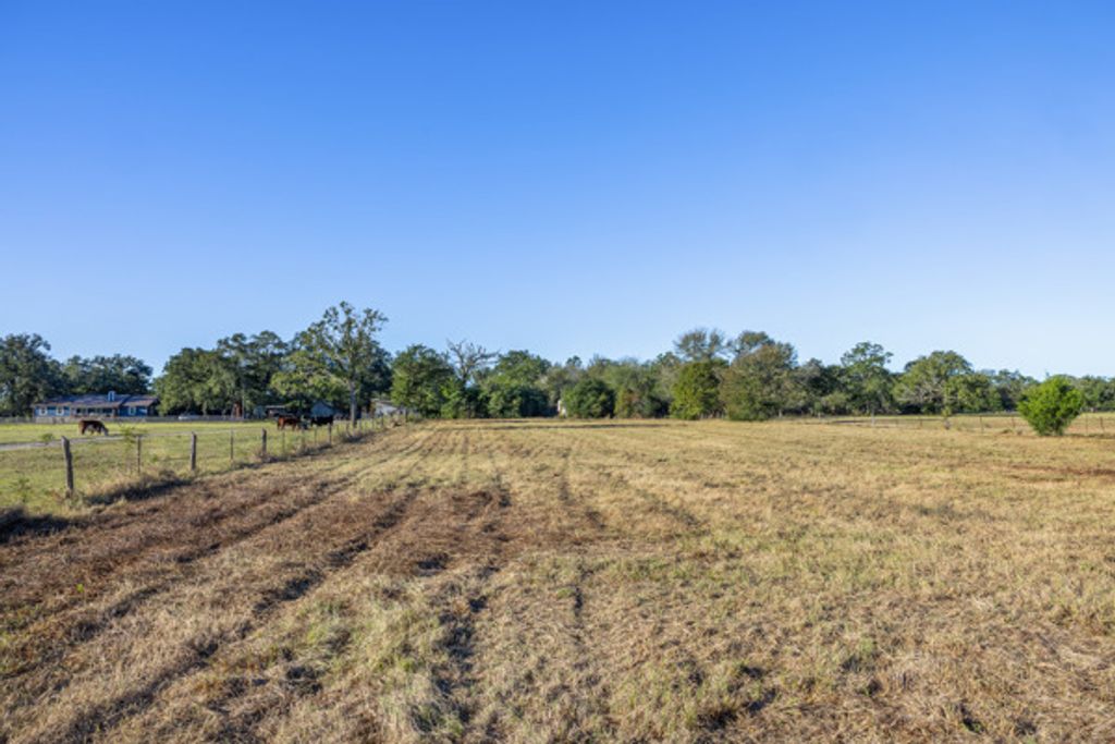 TBD CR 163, Caldwell, TX 77836 — photo 5