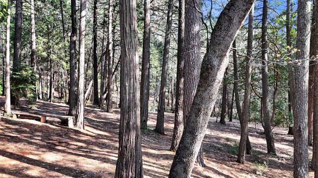 11582 Winter Moon Way, Nevada City, CA 95959