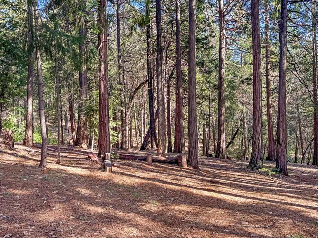 11582 Winter Moon Way, Nevada City, CA 95959