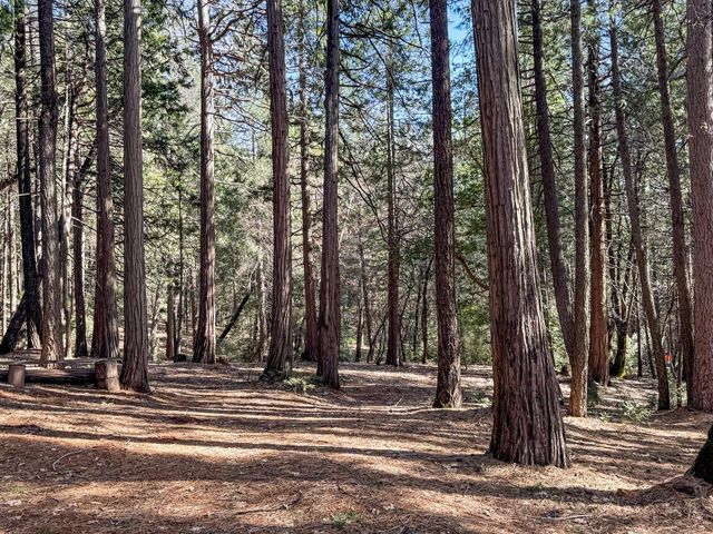 11582 Winter Moon Way, Nevada City, CA 95959