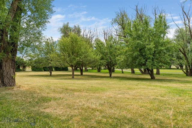 84 Canyon View Drive, Livingston, MT 59047