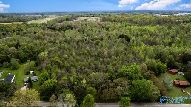 75.72 Acres Carters Gin Road, Toney, AL 35773
