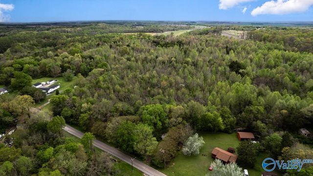 75.72 Acres Carters Gin Road, Toney, AL 35773