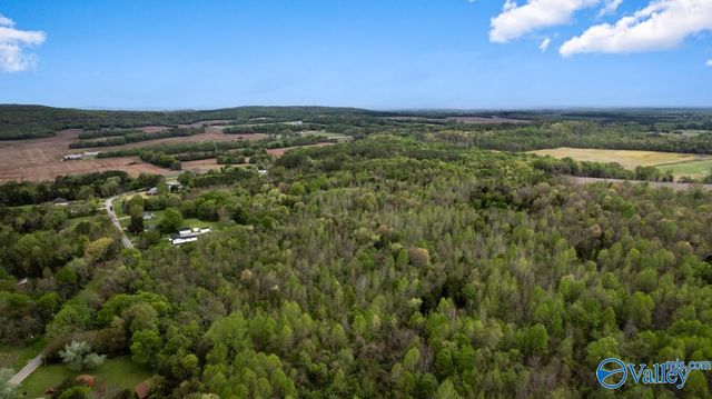 75.72 Acres Carters Gin Road, Toney, AL 35773