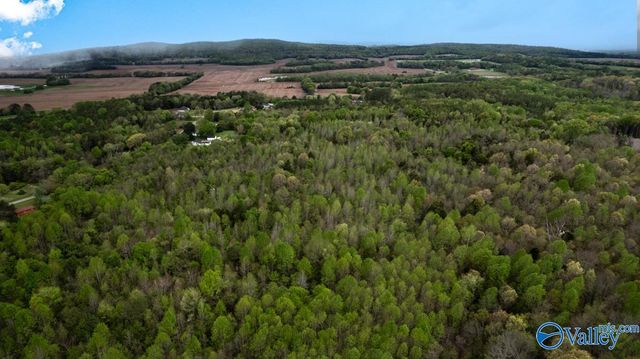 75.72 Acres Carters Gin Road, Toney, AL 35773