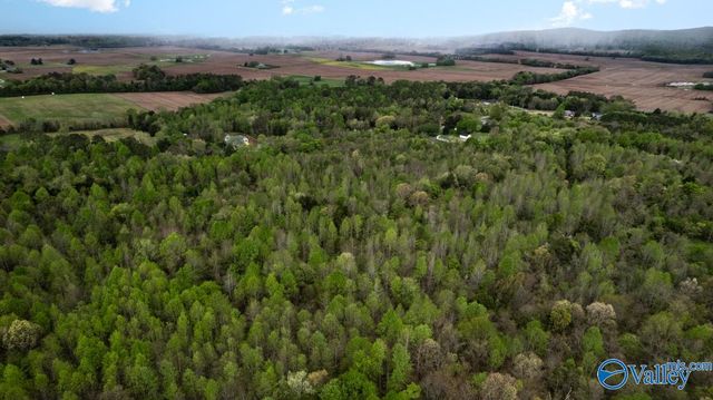 75.72 Acres Carters Gin Road, Toney, AL 35773