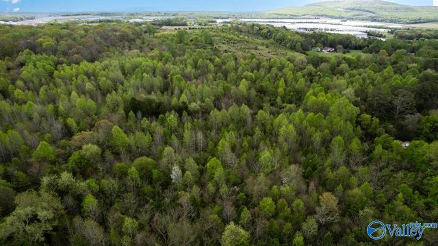 75.72 Acres Carters Gin Road, Toney, AL 35773