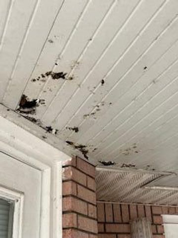 2552 Palm Shores Drive, Shalimar, FL 32579