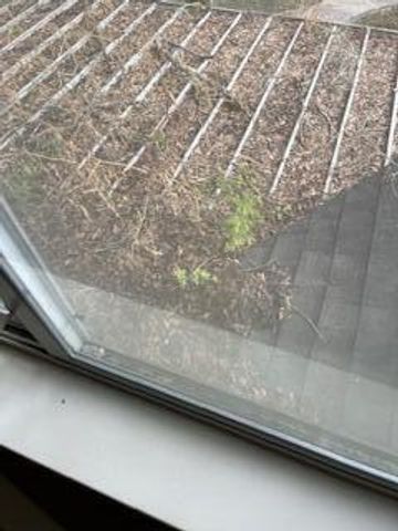 2552 Palm Shores Drive, Shalimar, FL 32579