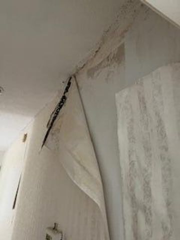 2552 Palm Shores Drive, Shalimar, FL 32579