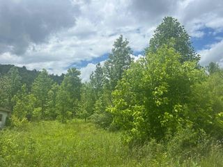 9999 Hubbs Hollow Road, Rockholds, KY 40759