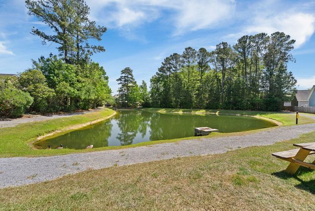 1679 Seabago Drive, Charleston, SC 29414