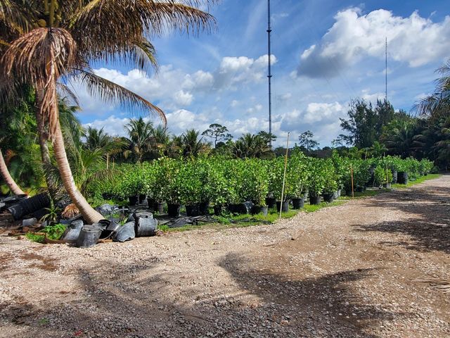 10655 61st Street S, Lake Worth, FL 33449