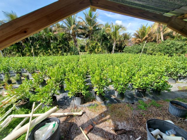 10655 61st Street S, Lake Worth, FL 33449