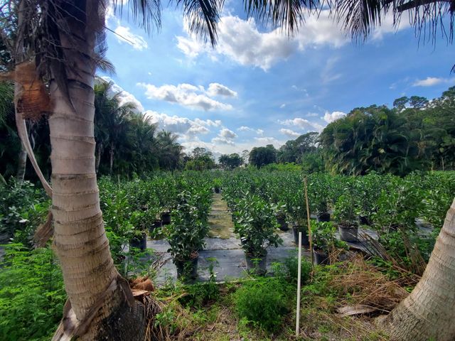 10655 61st Street S, Lake Worth, FL 33449