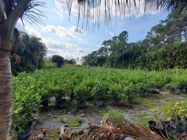 10655 61st Street S, Lake Worth, FL 33449