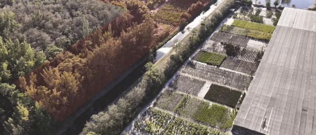 10655 61st Street S, Lake Worth, FL 33449