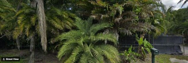 10655 61st Street S, Lake Worth, FL 33449