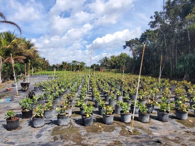 10655 61st Street S, Lake Worth, FL 33449