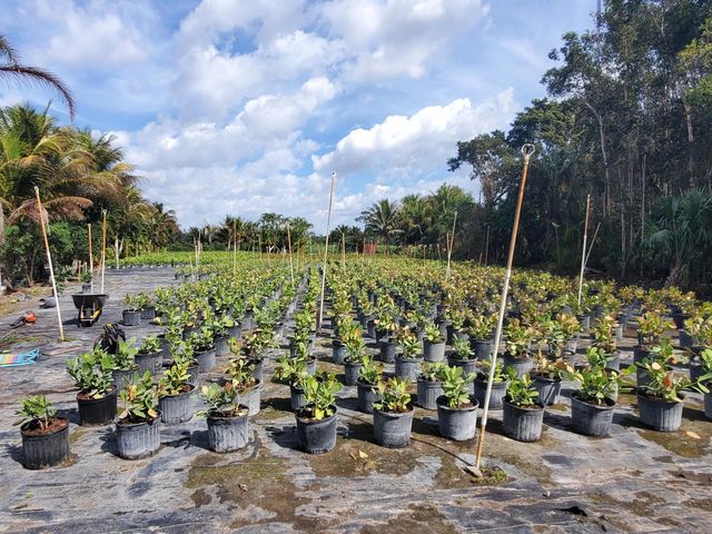 10655 61st Street S, Lake Worth, FL 33449