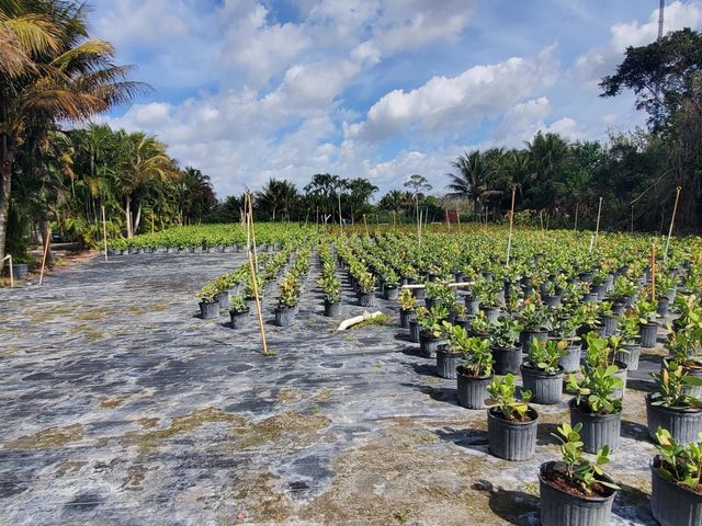 10655 61st Street S, Lake Worth, FL 33449