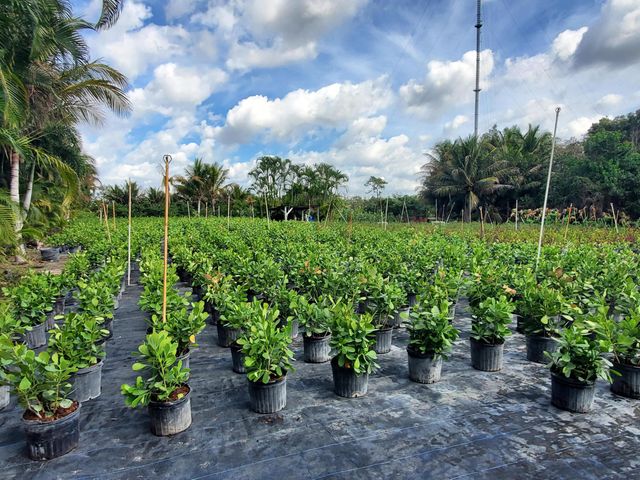 10655 61st Street S, Lake Worth, FL 33449