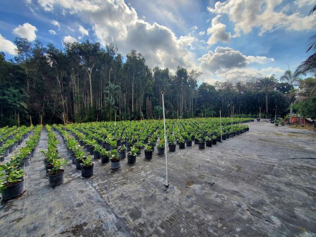 10655 61st Street S, Lake Worth, FL 33449