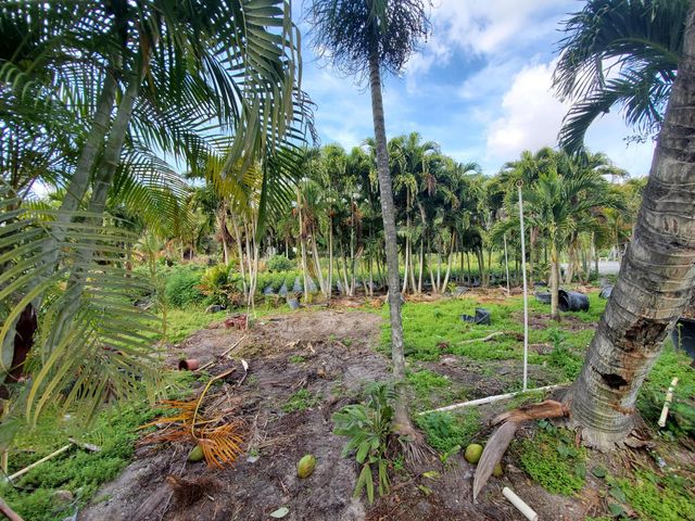 10655 61st Street S, Lake Worth, FL 33449