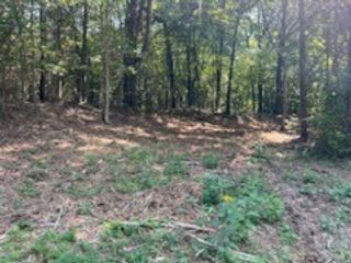 0 Shelter Branch Road, Charlotte, TN 37036