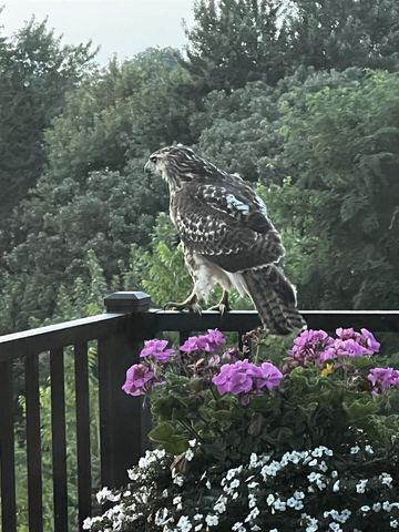 5038 Congressional Hill, Middleton, WI 53597