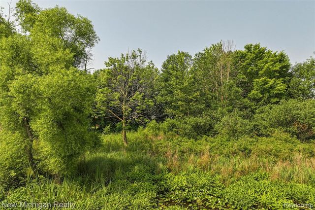 VL Delphine Drive, Holly, MI 48442