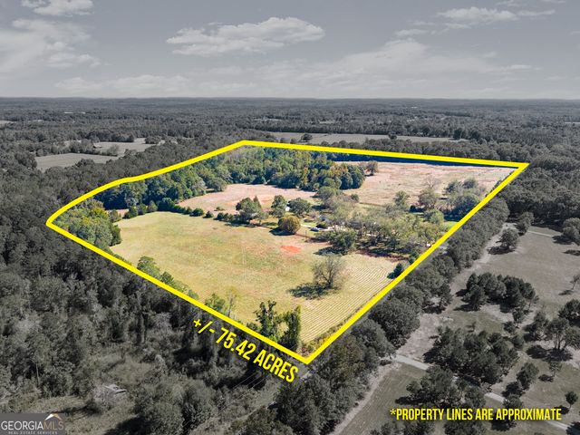 1972 Rest Haven Road, Yatesville, GA 31097