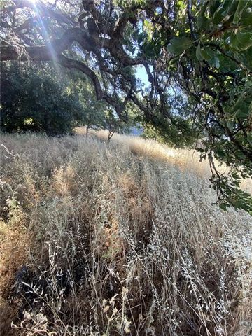 7140 Morton Street, Nice, CA 95464