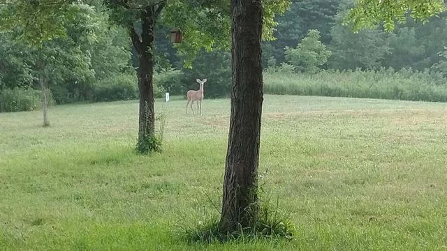 17420 Long Lake Drive, Cassopolis, MI 49031