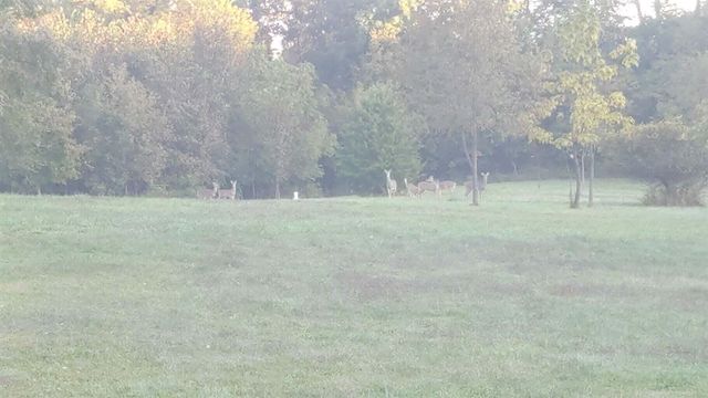 17420 Long Lake Drive, Cassopolis, MI 49031