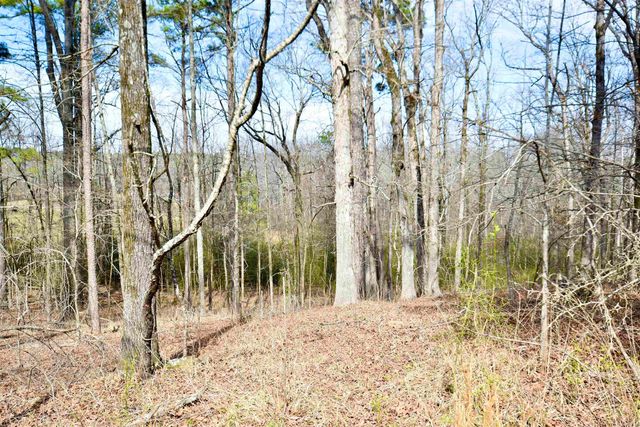 1606 FG Jones Road, Malvern, AR 72104