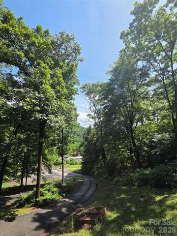 165 Mount Eire Drive, Sylva, NC 28779