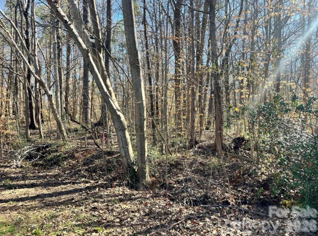 02 Lurecliff Place, Fort Mill, SC 29708