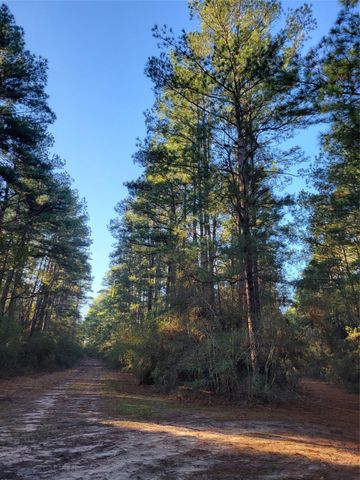 TBD Sioux Drive Drive, Hempstead, TX 77445