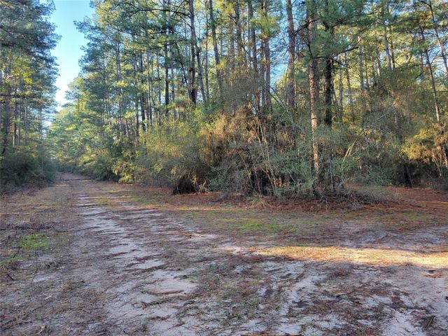 TBD Sioux Drive Drive, Hempstead, TX 77445